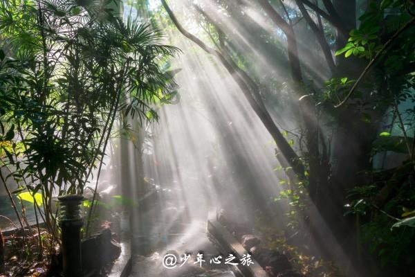 襄阳大妈嫌车辆妨碍跳广场舞，划伤多辆奔驰车，大妈需要为承担哪些责任？游戏画面