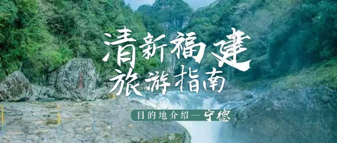 我修的可能是假仙